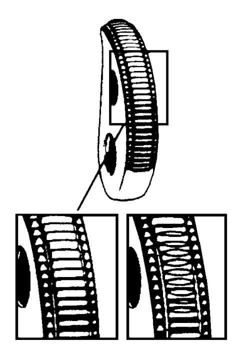 Image of GXL Clamps - Campbell